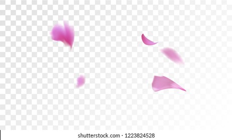 Red Sakura Petals Falling Down. Isolated Vector illustration of Sakura Petals. Flying Red Cherry Blossom Background. Design of Greeting or Invitation Card. 
