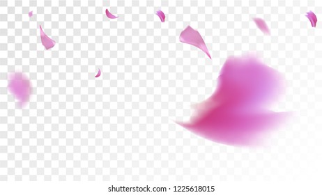 Red Sakura Petals Falling Down. Isolated Vector illustration of Sakura Petals. Flying Red Cherry Blossom Background. Design of Greeting or Invitation Card. 
