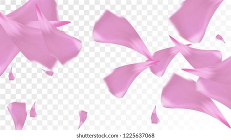 Red Sakura Petals Falling Down. Isolated Vector illustration of Sakura Petals. Flying Red Cherry Blossom Background. Design of Greeting or Invitation Card. 
