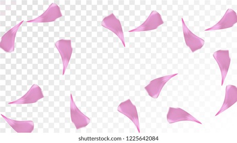 Red Sakura Petals Falling Down. Isolated Vector illustration of Sakura Petals. Flying Red Cherry Blossom Background. Design of Greeting or Invitation Card. 
