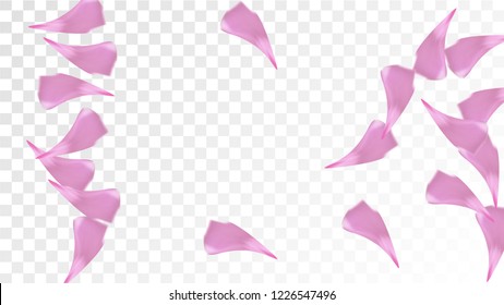 Red Sakura Petals Falling Down. Isolated Vector illustration of Sakura Petals. Flying Red Cherry Blossom Background. Design of Greeting or Invitation Card. 
