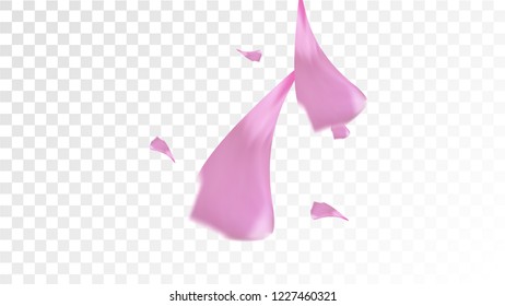 Red Sakura Petals Falling Down. Isolated Vector illustration of Sakura Petals. Flying Red Cherry Blossom Background. Design of Greeting or Invitation Card. 
