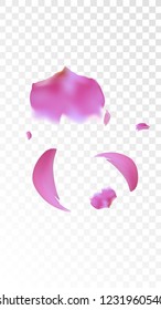 Red Sakura Petals Falling Down. Isolated Vector illustration of Sakura Petals. Flying Red Cherry Blossom Background. Design of Greeting or Invitation Card. 
