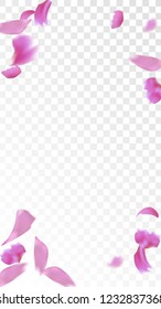 Red Sakura Petals Falling Down. Isolated Vector illustration of Sakura Petals. Flying Red Cherry Blossom Background. Design of Greeting or Invitation Card. 
