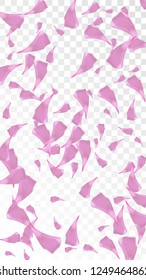 Red Sakura Petals Falling Down. Isolated Vector illustration of Sakura Petals. Flying Red Cherry Blossom Background. Design of Greeting or Invitation Card. 
