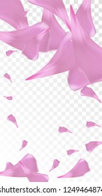 Red Sakura Petals Falling Down. Isolated Vector illustration of Sakura Petals. Flying Red Cherry Blossom Background. Design of Greeting or Invitation Card. 
