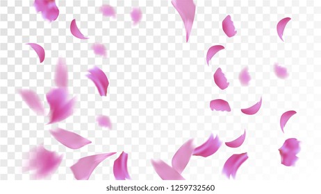 Red Sakura Petals Falling Down. Isolated Vector illustration of Sakura Petals. Flying Red Cherry Blossom Background. Design of Greeting or Invitation Card. 
