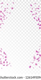 Red Sakura Petals Falling Down. Isolated Vector illustration of Sakura Petals. Flying Red Cherry Blossom Background. Design of Greeting or Invitation Card. 

