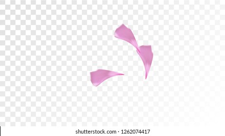 Red Sakura Petals Falling Down. Isolated Vector illustration of Sakura Petals. Flying Red Cherry Blossom Background. Design of Greeting or Invitation Card. 
