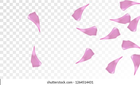 Red Sakura Petals Falling Down. Isolated Vector illustration of Sakura Petals. Flying Red Cherry Blossom Background. Design of Greeting or Invitation Card. 
