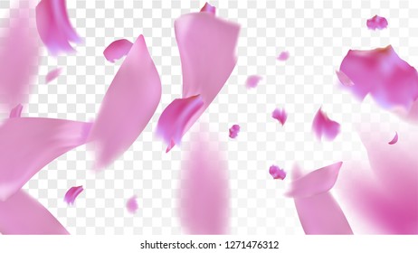 Red Sakura Petals Falling Down. Isolated Vector illustration of Sakura Petals. Flying Red Cherry Blossom Background. Design of Greeting or Invitation Card. 
