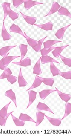 Red Sakura Petals Falling Down. Isolated Vector illustration of Sakura Petals. Flying Red Cherry Blossom Background. Design of Greeting or Invitation Card. 
