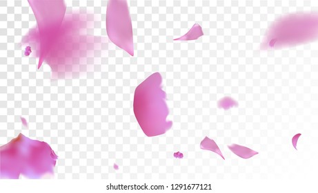 Red Sakura Petals Falling Down. Isolated Vector illustration of Sakura Petals. Flying Red Cherry Blossom Background. Design of Greeting or Invitation Card. 
