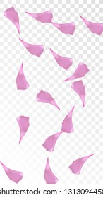 Red Sakura Petals Falling Down. Isolated Vector illustration of Sakura Petals. Flying Red Cherry Blossom Background. Design of Greeting or Invitation Card. 
