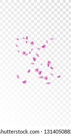 Red Sakura Petals Falling Down. Isolated Vector illustration of Sakura Petals. Flying Red Cherry Blossom Background. Design of Greeting or Invitation Card. 
