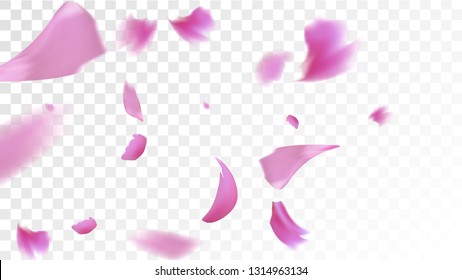Red Sakura Petals Falling Down. Isolated Vector illustration of Sakura Petals. Flying Red Cherry Blossom Background. Design of Greeting or Invitation Card. 
