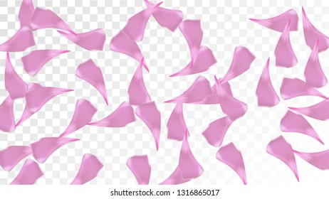 Red Sakura Petals Falling Down. Isolated Vector illustration of Sakura Petals. Flying Red Cherry Blossom Background. Design of Greeting or Invitation Card. 
