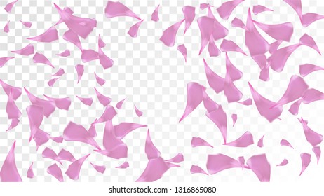 Red Sakura Petals Falling Down. Isolated Vector illustration of Sakura Petals. Flying Red Cherry Blossom Background. Design of Greeting or Invitation Card. 
