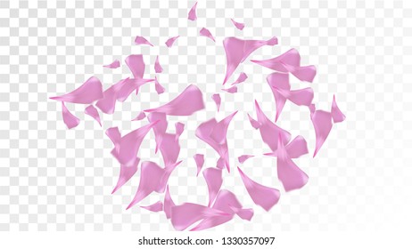 Red Sakura Petals Falling Down. Isolated Vector illustration of Sakura Petals. Flying Red Cherry Blossom Background. Design of Greeting or Invitation Card. 
