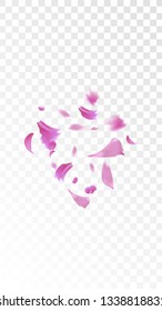 Red Sakura Petals Falling Down. Isolated Vector illustration of Sakura Petals. Flying Red Cherry Blossom Background. Design of Greeting or Invitation Card. 
