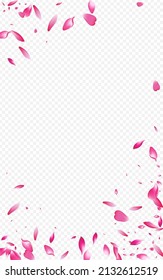 Red Sakura Spring Vector Transparent Background. Blur Rose Illustration. Beautiful Cherry Japanese Design. Delicate Flower Falling Wallpaper.
