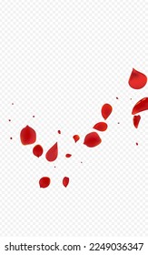 Red Sakura Spring Vector Transparent Background. Japan Rose Pattern. Pink Lotus Fly Illustration. Delicate Flower Tender Design.