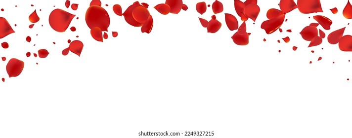 Red Sakura Tender Vector Panoramic White Background. Falling Blossom Illustration. Delicate Floral Flying Banner. Pink Peach Fly Backdrop.
