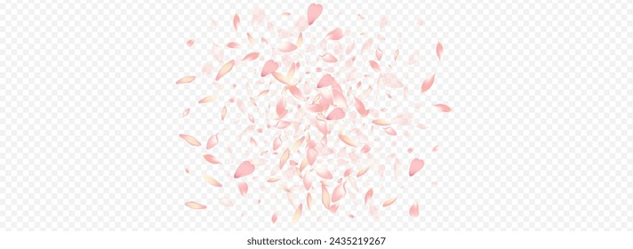 Red Sakura Vector Panoramic Transparent Background. Leaf Mother Illustration. Cherry March Poster. Floral Free Texture. Color Lotus Marriage Backdrop.