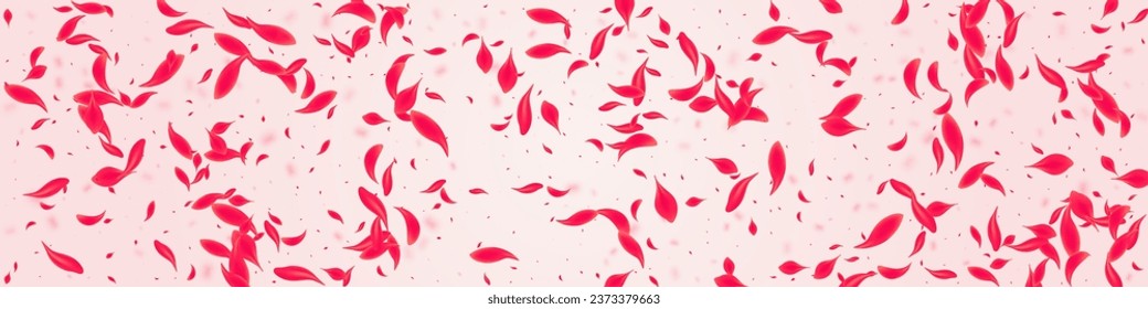 Red Sakura Vector Pink Panoramic Background. Japanese Blossom Banner. Carmine Flower Flying Frame. Ruby Summer Rose Poster.