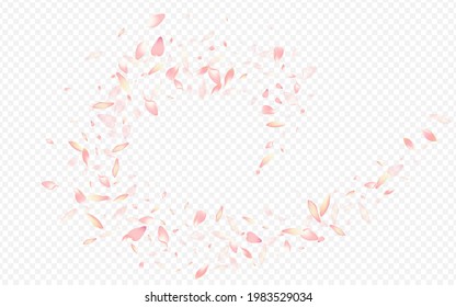 Red Sakura Vector Transparent Background. Rose Mother Congratulation. Leaf Tender Card. Cherry Springtime Backdrop. Pink Blossom Beauty Pattern.