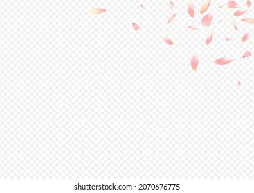 Red Sakura Vector Transparent Background. Peach Springtime Pattern. Leaf Free Card. Cherry Nature Illustration. Color Blossom Marriage Texture.