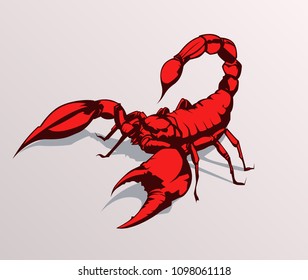 Red Scorpion with a grey background