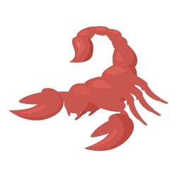 Red scorpion raising its claws and tail ready to attack its prey