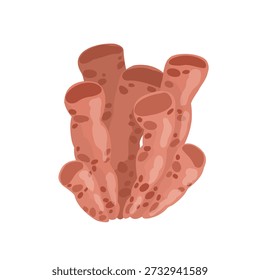 Os corais do mar vermelho são ideais para criar e decorar projetos com um tema de pirata do mar.
