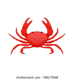 Red sea crab with claws diluted in the direction. Species of crustacean lobsters of the seas and oceans. Object, product, for a restaurant, seafood for cooking, fishing. Vector flat illustration.