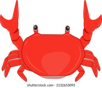 Red sea crab, illustration, vector on a white background.