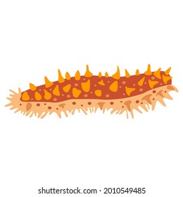 Red sea cucumber. Object, product for a restaurant, natural fresh seafood for cooking, fishing, healthy food. Vector illustration.