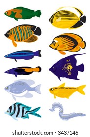 red sea fish, vector