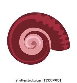 Red sea shell illustration. Mollusc, ocean, decoration. Nature concept. Vector illustration can be used for topics like ocean, sea, design, decoration