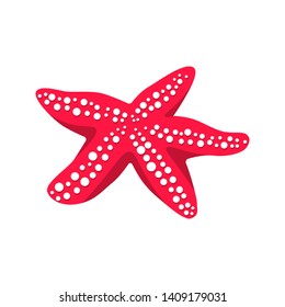 Red sea starfish flat style design vector illustration isolated on white background. Marine summer ocean symbol star fish.