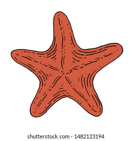 red sea starfish icon symbol