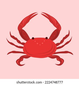 Red seafood crab flat vector illustration. Cute seafood crab cartoon vector illustration for graphic design and decorative element