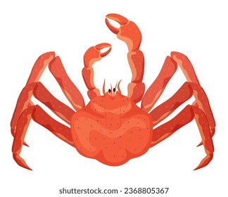Red seafood crab. Marine crustacean, healthy seafood cuisine cartoon vector illustration