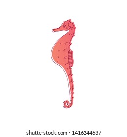 Red seahorse is surrounded by a thin black outline. Vector illustration on white background.