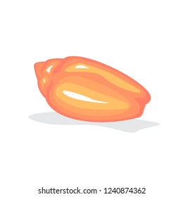 Red seashell. Beautiful marine object. Spiral shape of mollusk shell. Isolated flat vector illustration