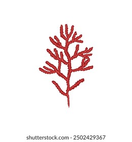 Red seaweed branch with intricate, wavy patterns on a white background. Detailed vector illustration of marine algae, showcasing its unique texture and natural beauty.