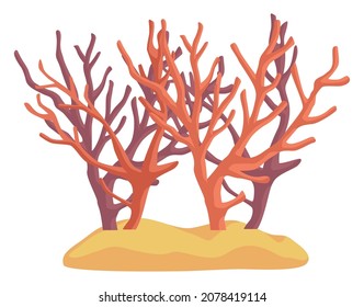 Red Seaweed Nature Sealife Icon