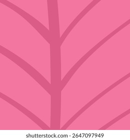 Red seaweed Underwater botany Marine life plant isolated on pink background 