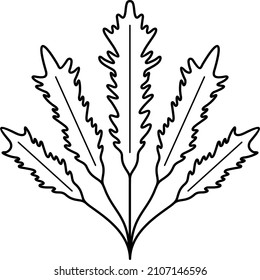 Rote Algen. Vektorgrafik.