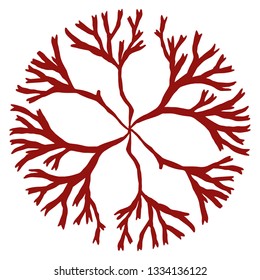 red seawees icon